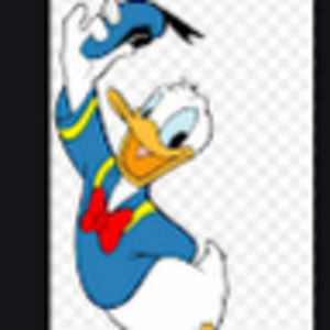 Meet your Posher, Riley